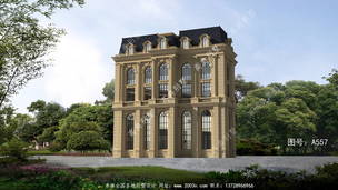 �ݻ���ʮ�����㷨ʽ���ƽ�ݶ����� ͼ�ţ�A557C.jpg 