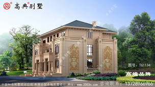 ŷʽԽݱ ͼţT61134C.jpg 